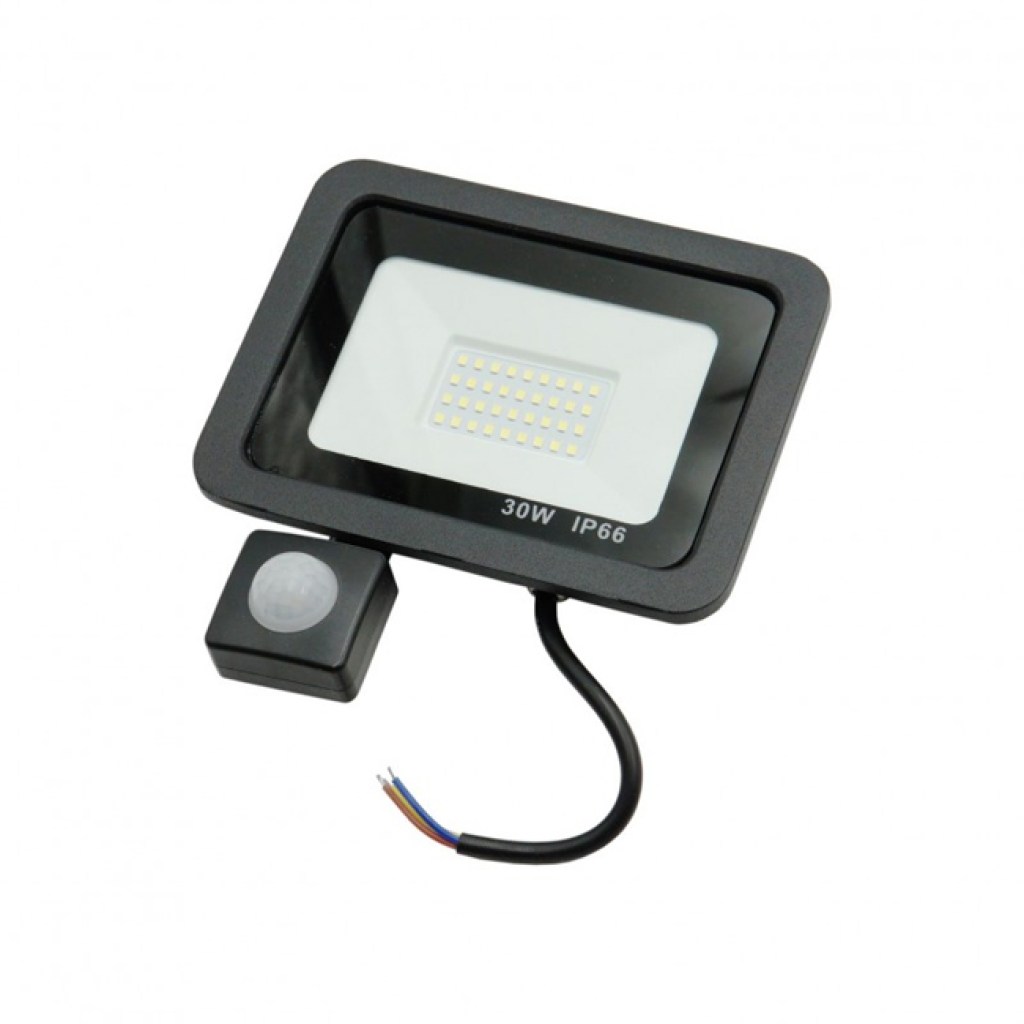 floodlight 30w 2